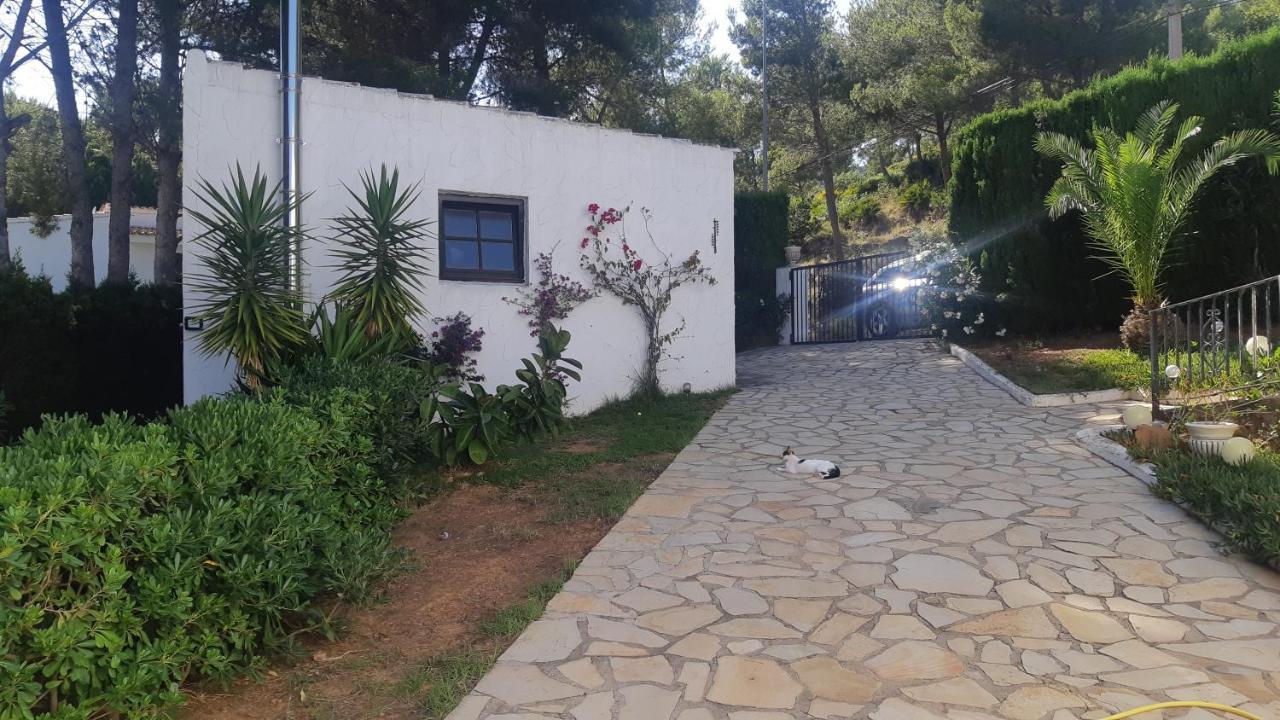 Ferienwohnung Mit Privat-Pool Alcossebre Dış mekan fotoğraf