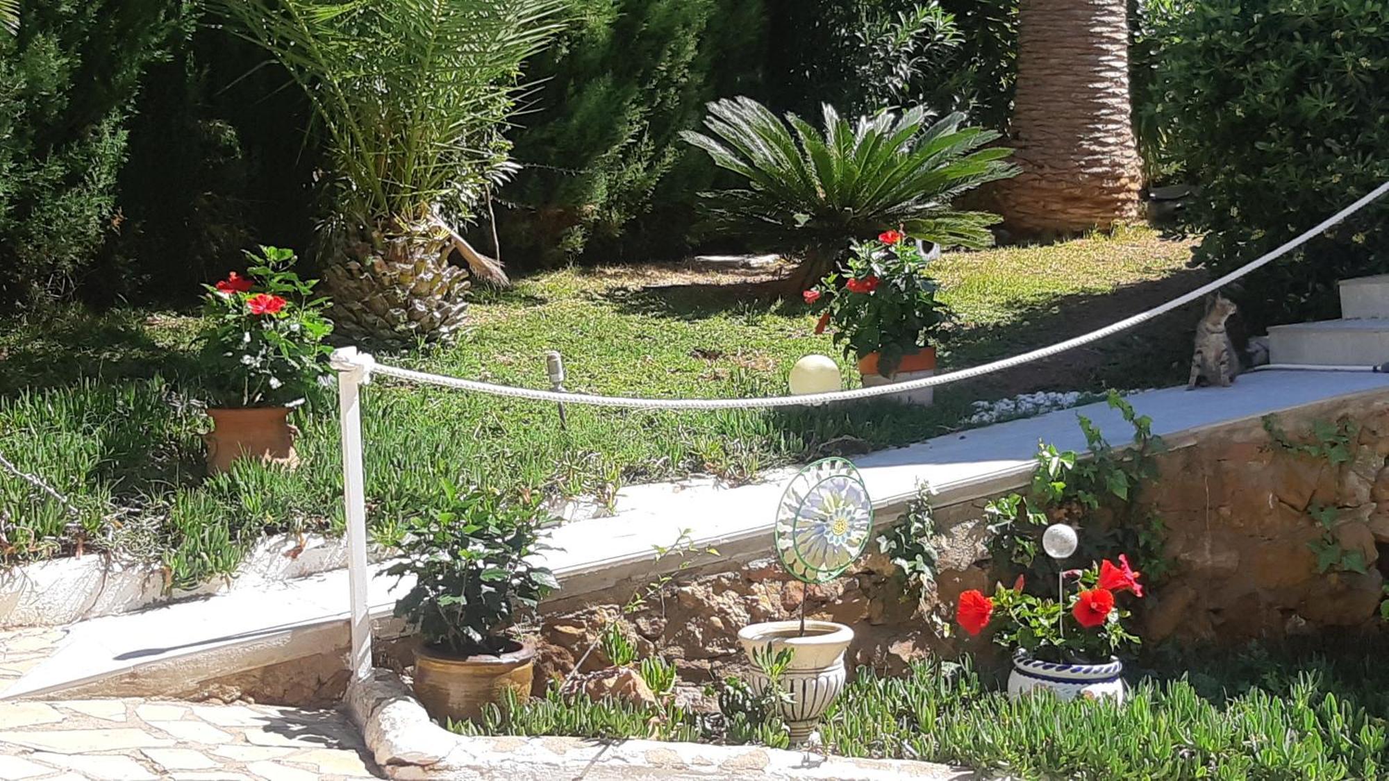 Ferienwohnung Mit Privat-Pool Alcossebre Dış mekan fotoğraf