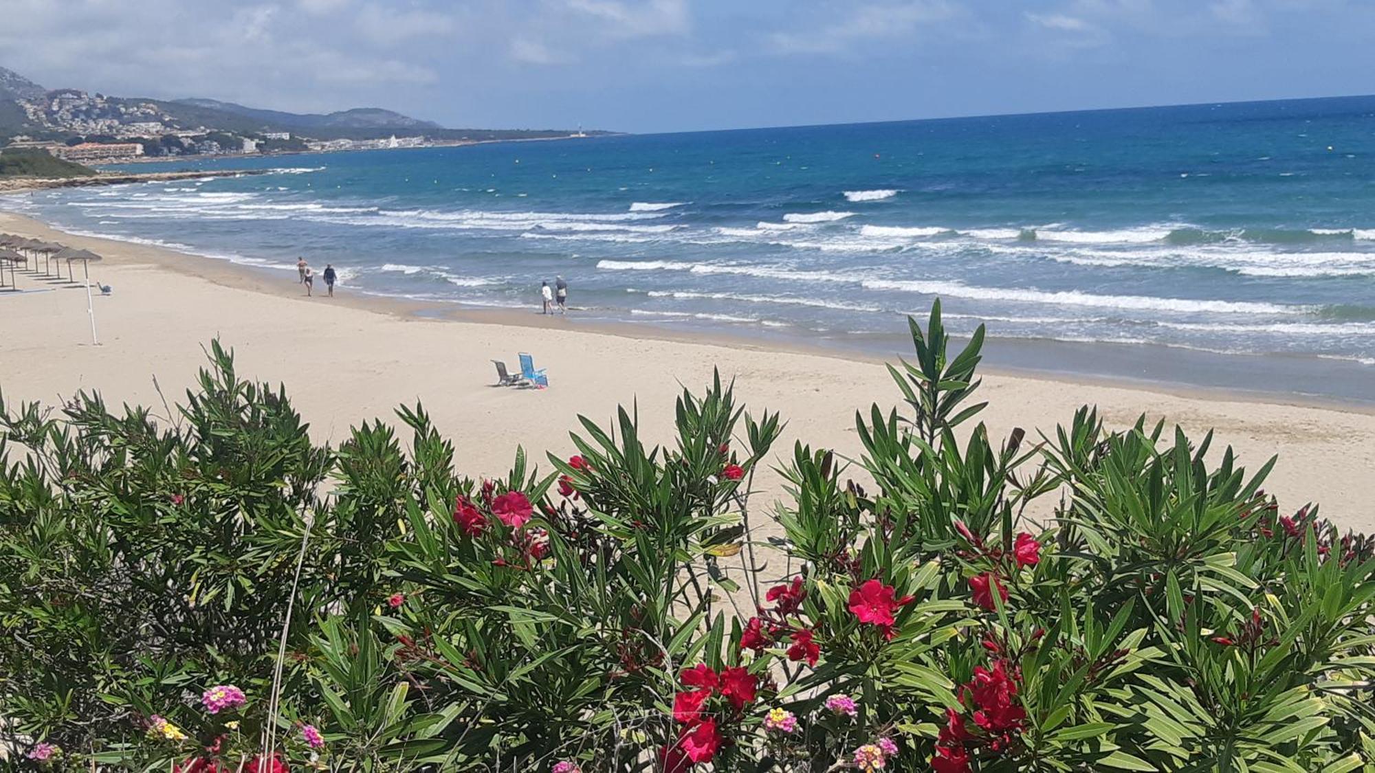 Ferienwohnung Mit Privat-Pool Alcossebre Dış mekan fotoğraf