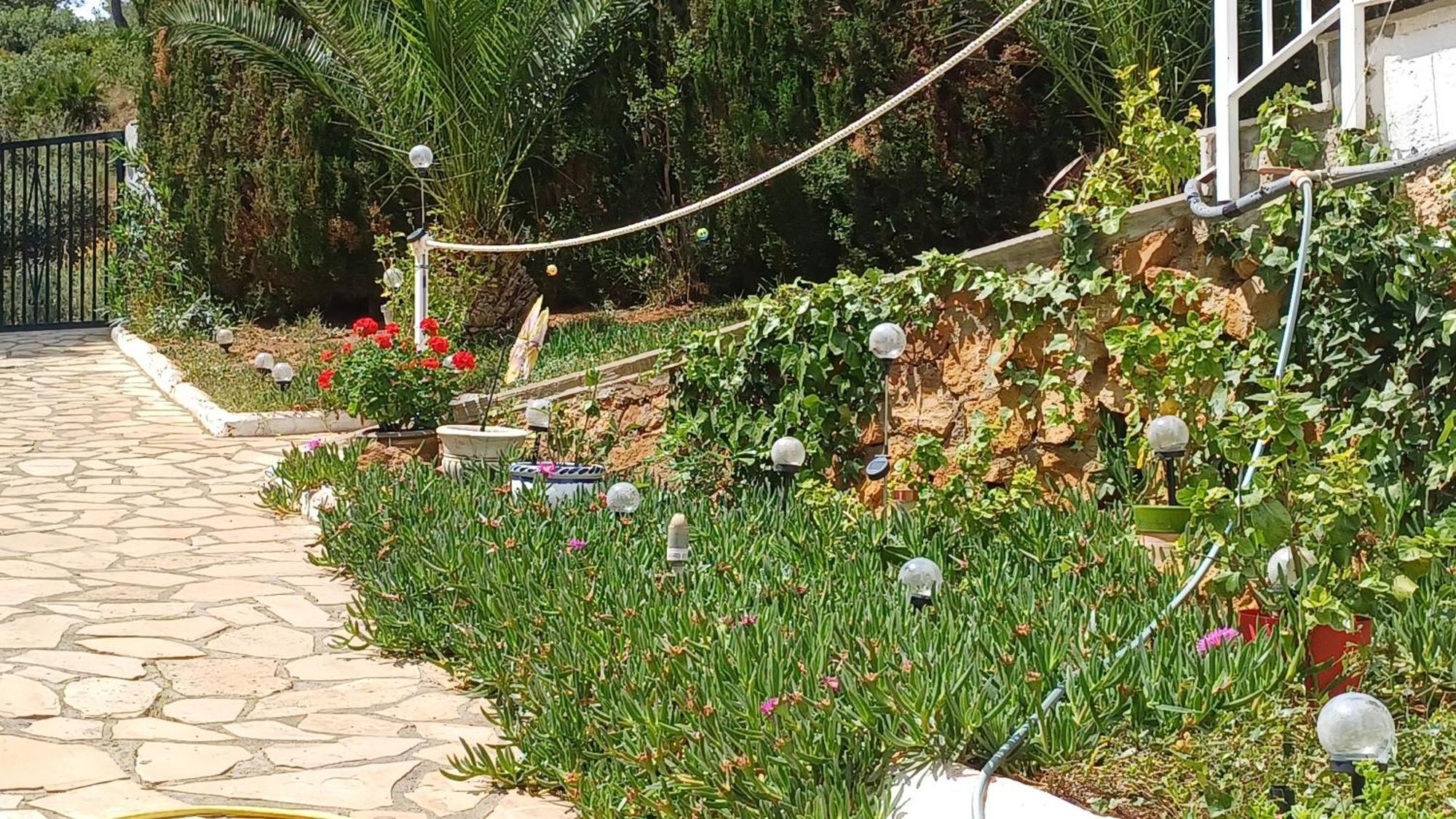 Ferienwohnung Mit Privat-Pool Alcossebre Dış mekan fotoğraf