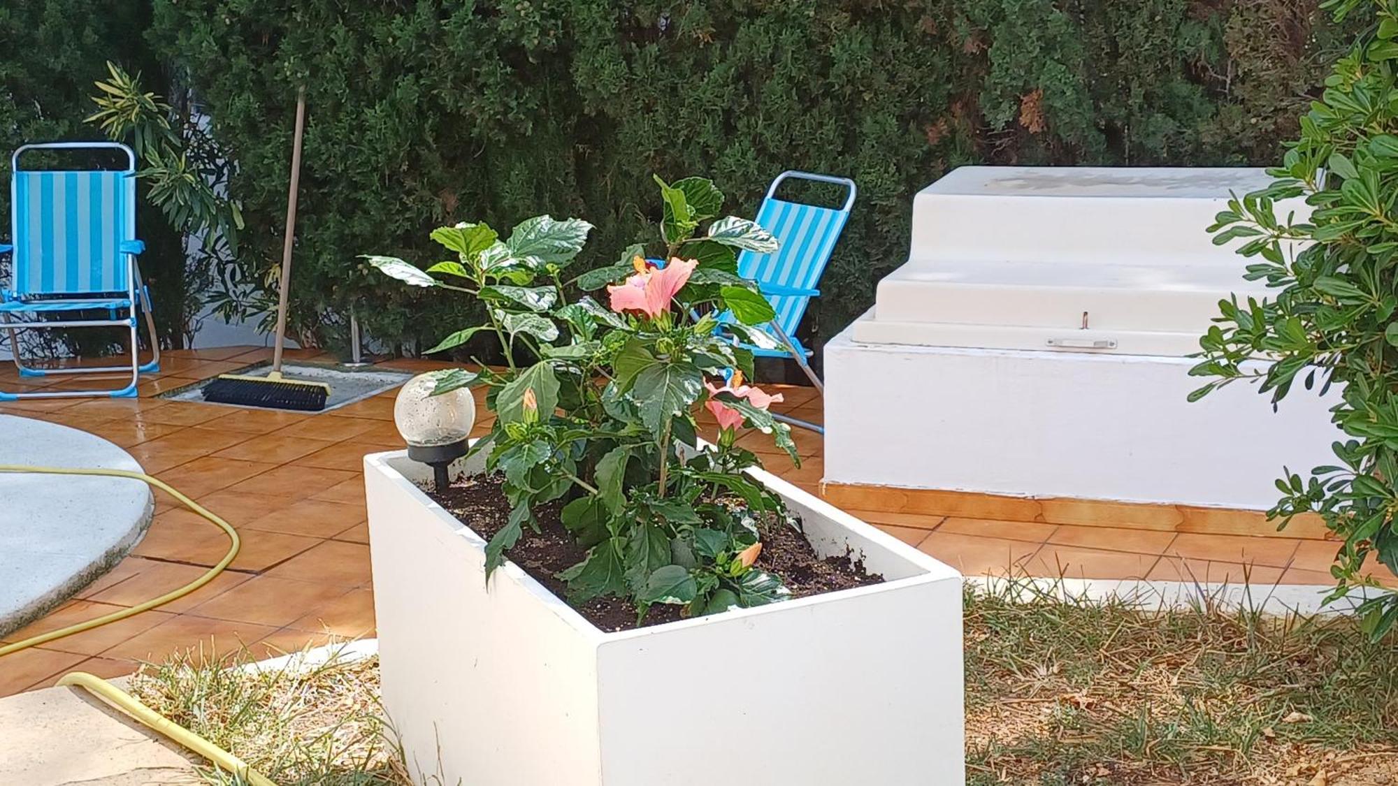 Ferienwohnung Mit Privat-Pool Alcossebre Dış mekan fotoğraf
